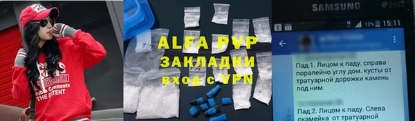 индика Алзамай