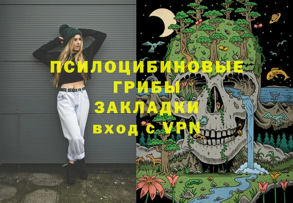 индика Алзамай
