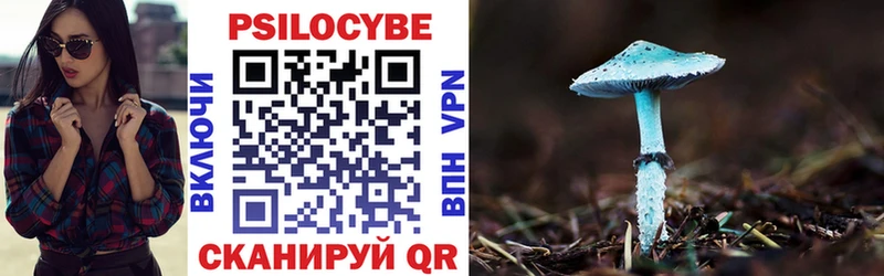 Галлюциногенные грибы Psilocybine cubensis  закладки  Пролетарск 